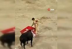 Boğa matadoru metrelerce havaya fırlattı
