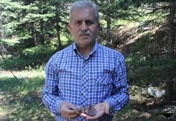 Profesörden 'ölüm meleği' mantarı uyarısı