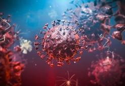 DSÖ'den Kovid-19 açıklaması: Artık küresel bir tehdit değil