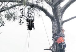 Acemi yabancı pilot uyarısı