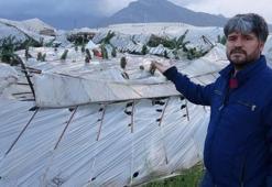 Hortumun yıkıp geçtiği sera sahipleri yaşadıkları korkuyu anlattı!