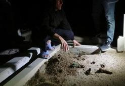 Mezarlıkta garip olay! 'İnsan kemiği' dedi, hayvan kemiği çıktı