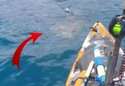 Suyun altındaki silüete dikkat! Saniyeler sonra dehşeti yaşadı