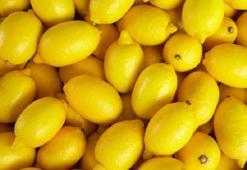 Çöpe atarken bir daha düşünün! Faydaları saymakla bitmiyor