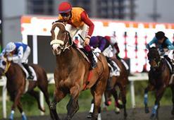 19 Mayıs Koşusu'nu Vincitore kazandı