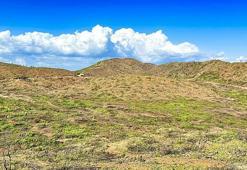 Marmaris'te yanan alanlar yeşillenmeye başladı