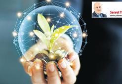 İklim sorununa bakışta ABD ve Avrupa farkı