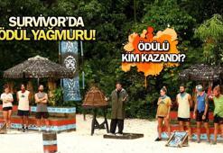 Survivor'da peş peşe ödüller! 24 Mayıs Survivor ödül oyununu hangi takım kazandı?