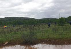 Mantar toplamaya gitti, bir daha haber alınmadı!