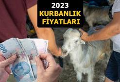 Kurbanlık fiyatları 2023 ne kadar? Kurban kesim bedeli bu yıl kaç para? Diyanet duyurdu