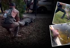 Hobi olarak timsah yakalıyor! Hayvanla resmen dalga geçti