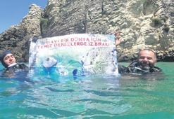 Denizler için gürültü kirliliği uyarısı: Öldürüyor, travmaya sokuyor