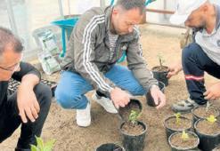 Organik tarım özendirilecek