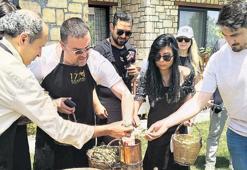 Kaz Dağları’nda kekik hasadı