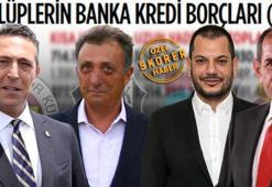 ÖZEL | Korkunç tablo ortaya çıktı! 4 büyükler hayatta kalmaya çalışacak