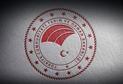 Bakanlık'tan Uzman Eller Projesi'ne 300 milyon TL hibe