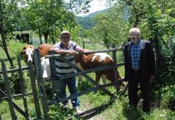 Bartın’da şap hastalığı nedeniyle hayvan pazarları kapatıldı