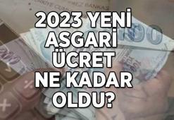 BRÜT/NET ASGARİ ÜCRET YENİ 2023; Asgari Ücret Temmuz ara zammı ne kadar oldu? Yeni asgari ücret kaç TL'ye yükseldi?