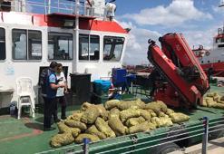 Marmara Denizi'nde kaçak midye çıkaran 21 tekneye el konuldu