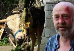 Kurbanlık boğa sahibine dehşeti yaşattı! 'Kendimize güvendik o bizden erkek çıktı'