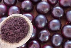 Tam bir kanser düşmanı… Hem meyve hem de toz olarak tüketilebiliyor