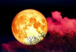 3 Temmuz dolunayına hazır olun! İşte zengin olacak 2 burç