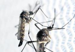 İstilacıların maliyeti 100 milyar dolar