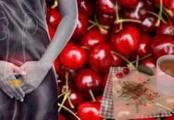 Çöpe atıyorduk! Oysaki 1 bardağı idrarı söküp atıyor ve vücudu temizliyormuş...