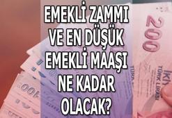 EMEKLİ ZAMMI ne kadar olacak 2023, emekli maaşı zammı ne zaman açıklanacak? Temmuz ayı SSK ve BAĞ-KUR en düşük emekli maaşı kaç TL'ye çıkacak?