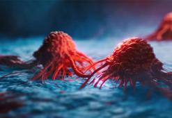 Tümörlerde yaşayan mikroplar, kanserin nedeni ve tedavisiyle ilgili ipuçları barındırabilir