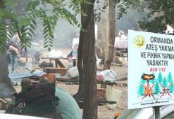 İstanbul'da ormanlar için alarm! 'Yasaklar yangınları yüzde 70 azalttı'