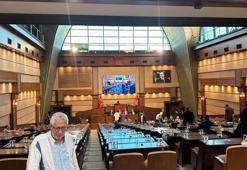 İBB meclisinde sinek eleştirisi: Son 2-3 yıldır hiç olmadığı kadar şikayet var