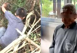 14 yaşındaki kızı ormana kaçırdı! Sapık tecavüzcüden skandal savunma