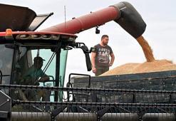 Tahıl Koridoru belirsizliği