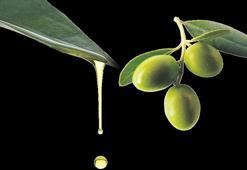 Zeytinde de doğal afet! Zeytinyağı fiyatları için şok tahmin