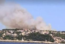 İstanbul'daki orman yangını kontrol altına alındı