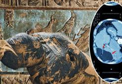 3 bin 500 yıl önce Mısır topraklarında yayıldı! Uzmanlar asırlık soruyu yanıtladı