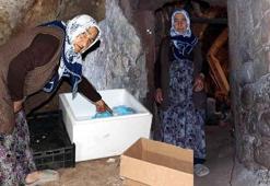 Evlerinin altında binlerce yıllık mağara! 1 yıl boyunca her şey burada saklanıyor