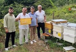 Bal arıları petek üzerinde ‘Allah’ yazısı oluşturdu