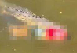 Nehirde timsah kaptı! Ağzında cesetle yüzerken görüntülendi