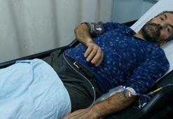 Fındık bahçesinde dehşeti yaşadı! Elini sokan yılan hastanelik etti