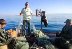Dünyada sadece Van Gölü'nde yaşıyor! Balıkçılar sezondan memnun