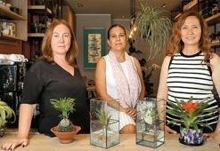 Bitkilerin büyülü dünyasına çağrı var