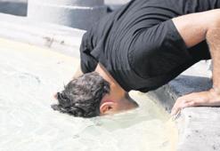 Gezegen ısındıkça akıl baştan gidiyor