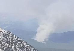 Peş peşe orman yangını haberleri! Ekiplerin müdahalesi sürüyor