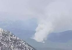 Peş peşe orman yangını haberleri! Ekiplerin müdahalesi sürüyor