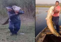 Dev balığı sırtlayıp böyle taşıdı! Boyu 2 metre...