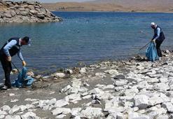Van'da binlerce ölü martı sahilden temizlendi
