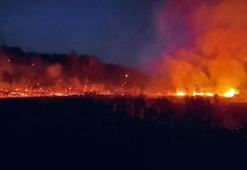 Kanada'da kayıtlara geçen en kötü orman yangınları sezonu: Bazı şehirler tahliye ediliyor