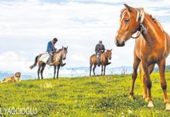 Şimdiki Zamanın Hikayesi